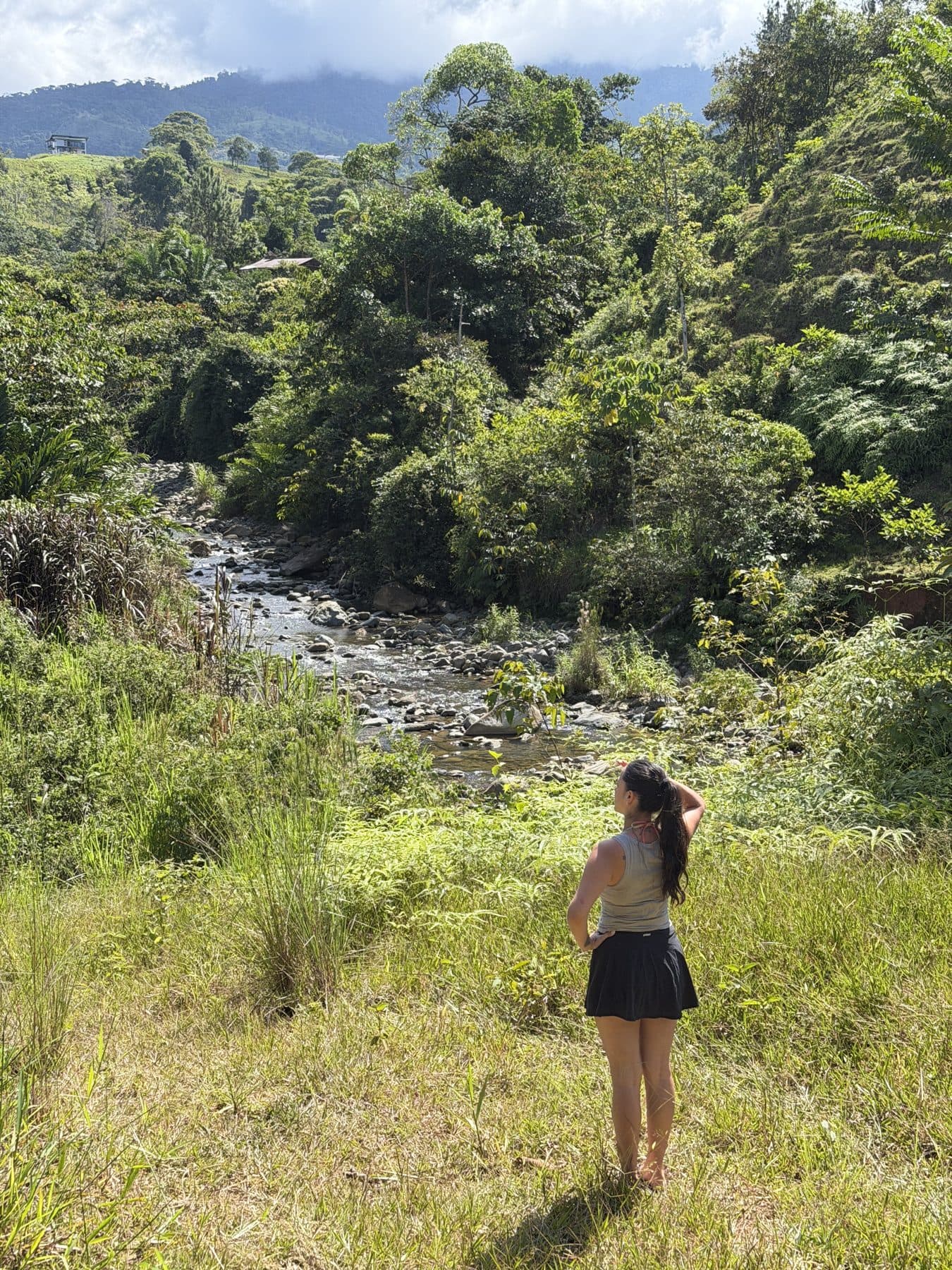 View over the river from the property