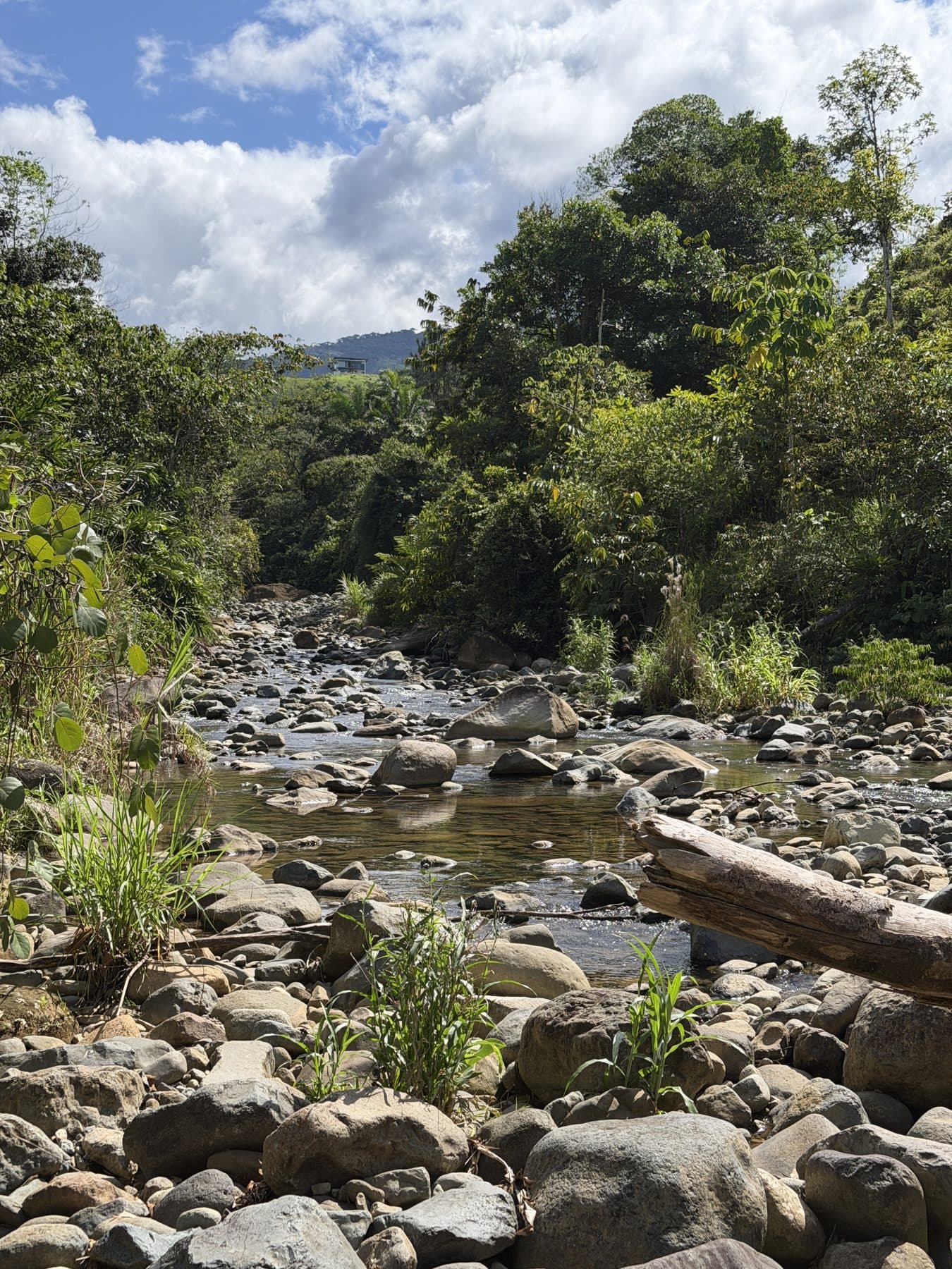 The river