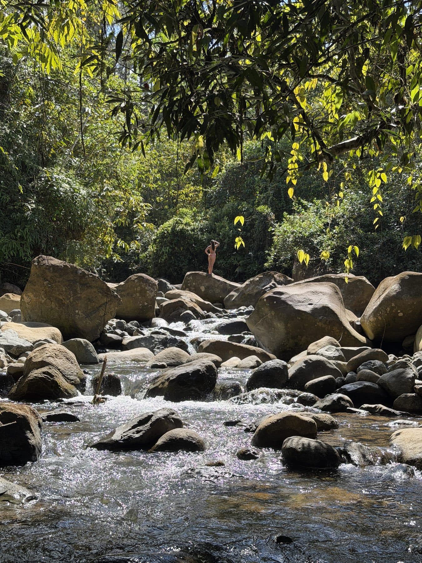 The river