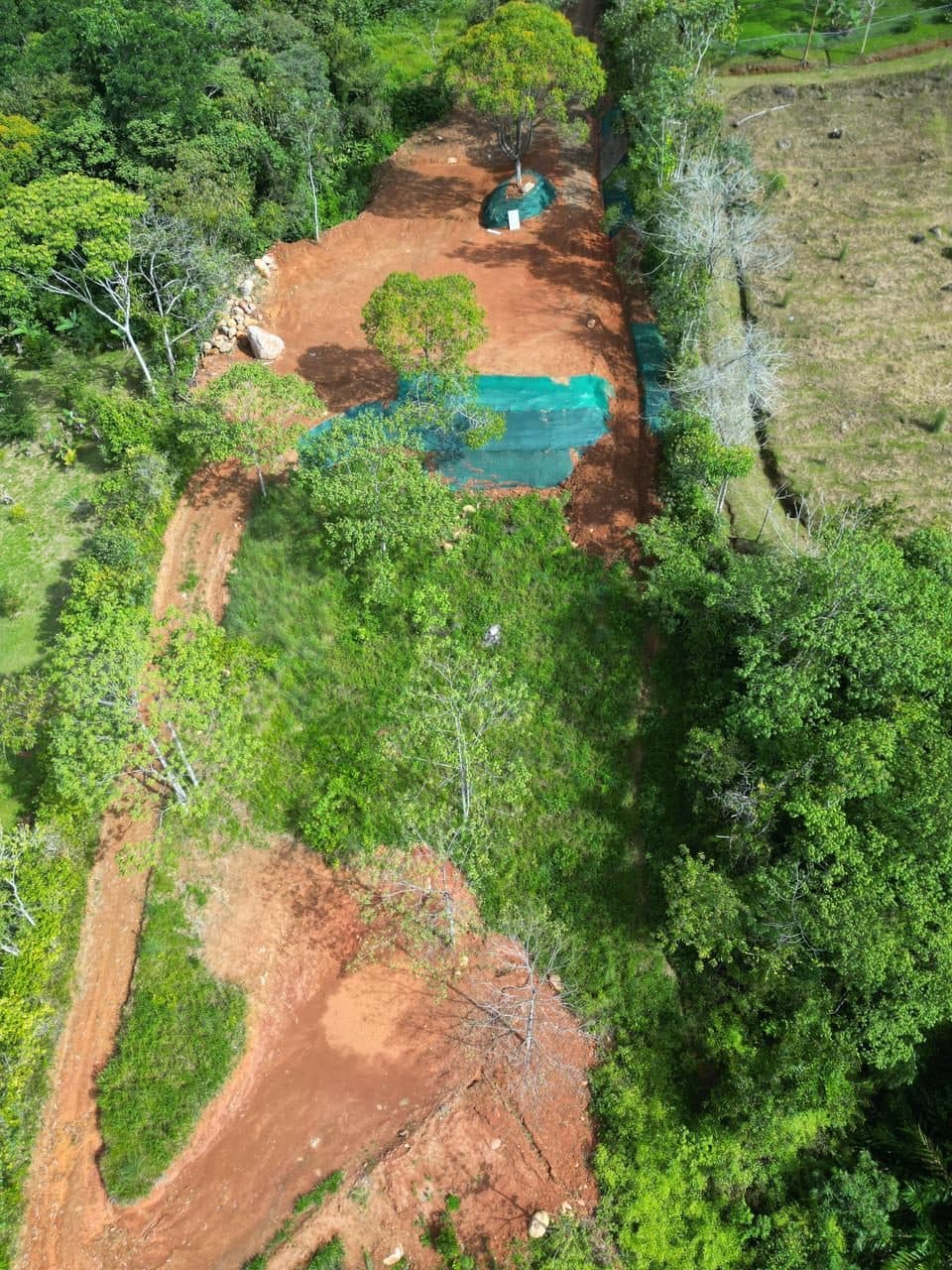 Drone view: building pads with the central tree and the curving road